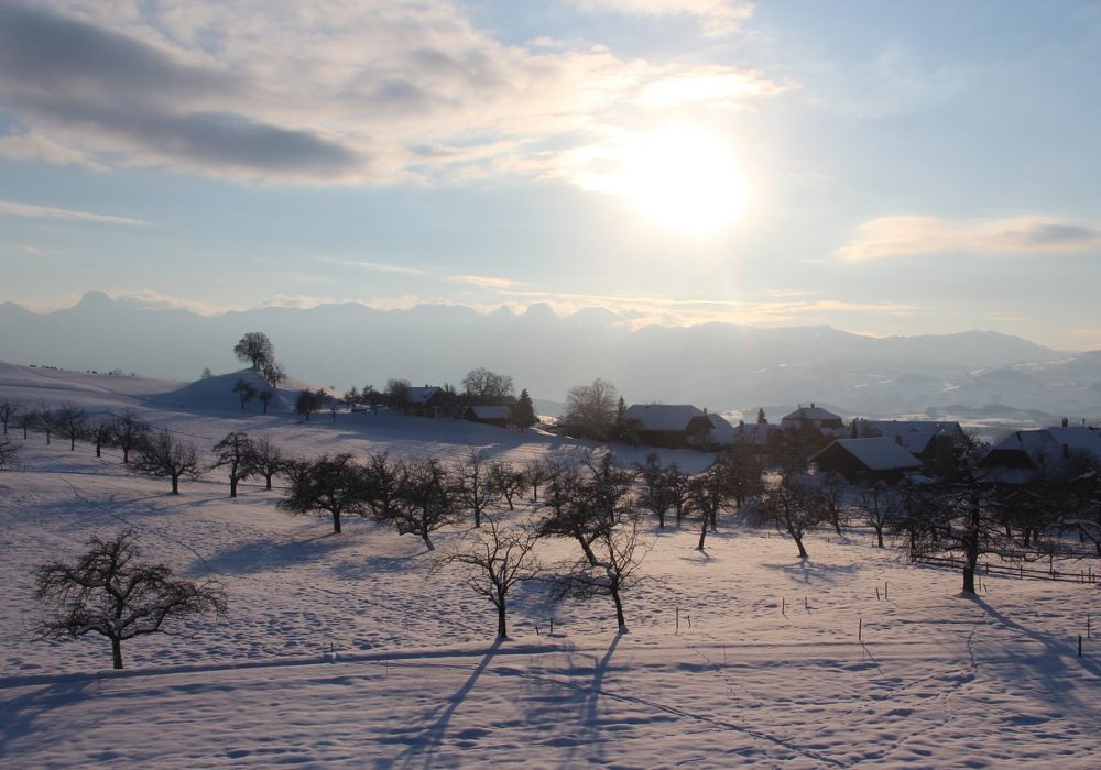 hautligen-4716729_1280